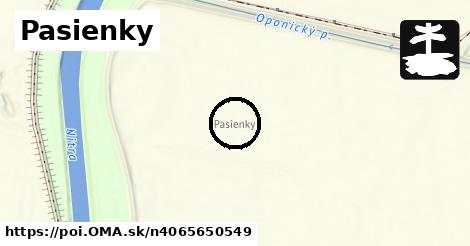 Pasienky