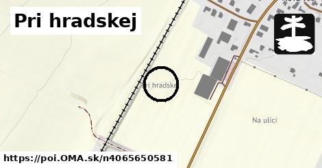 Pri hradskej