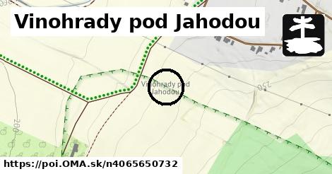 Vinohrady pod Jahodou