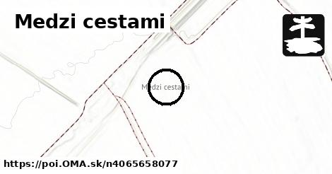 Medzi cestami