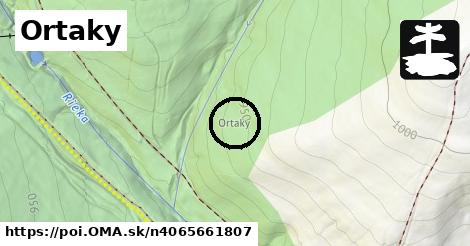 Ortaky