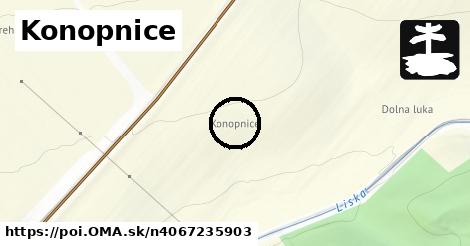 Konopnice