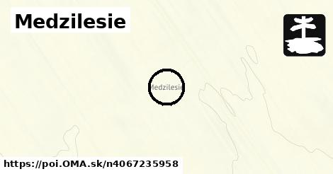 Medzilesie