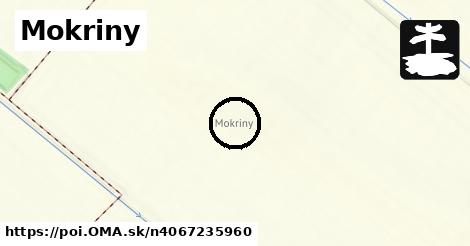 Mokriny