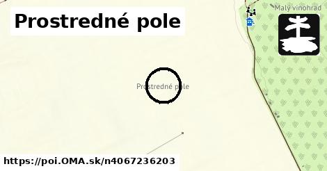 Prostredné pole