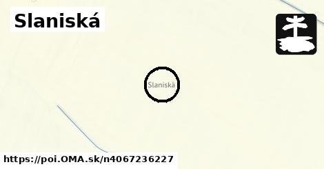 Slaniská