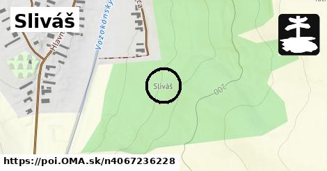 Sliváš