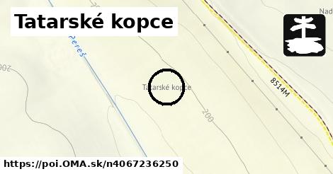 Tatarské kopce