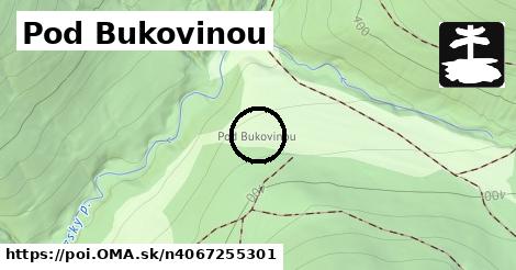 Pod Bukovinou