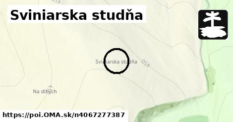 Sviniarska studňa