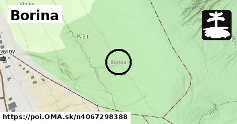 Borina