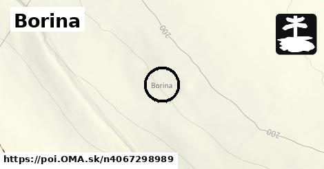 Borina