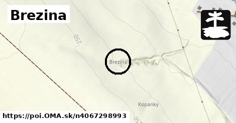 Brezina