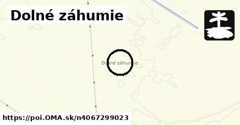 Dolné záhumie