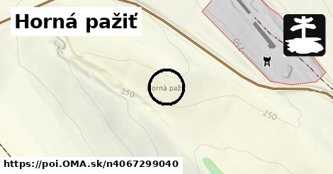 Horná pažiť