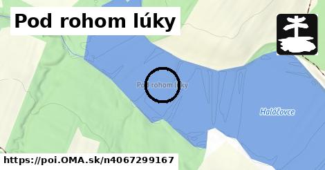 Pod rohom lúky