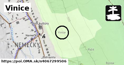 Vinice