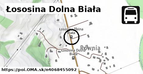 Łososina Dolna Biała