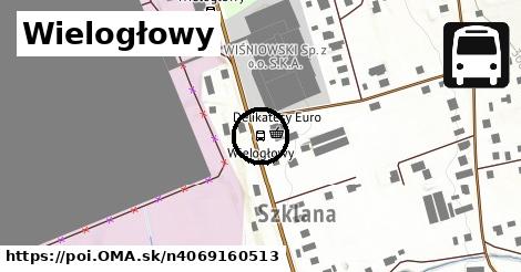 Wielogłowy