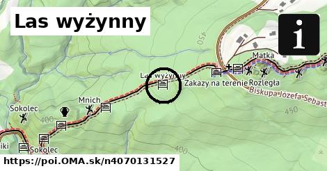 Las wyżynny