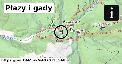 Płazy i gady