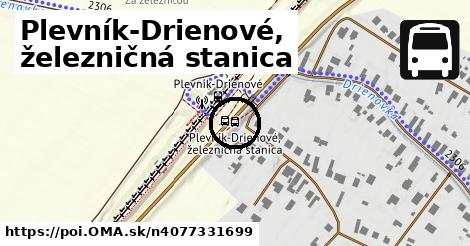 Plevník-Drienové, železničná stanica