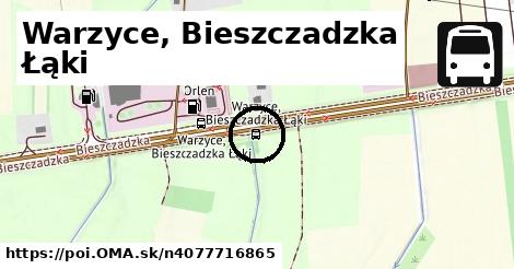 Warzyce, Bieszczadzka Łąki