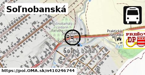 Soľnobanská