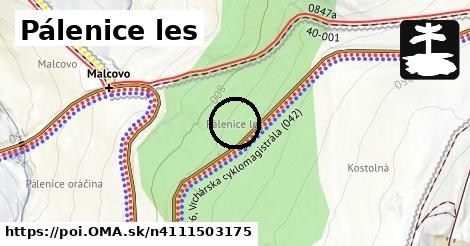 Pálenice les