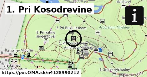 1. Pri Kosodrevine