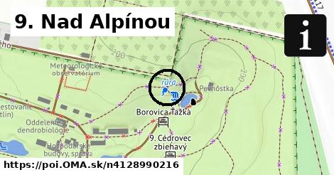 9. Nad Alpínou