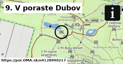 9. V poraste Dubov