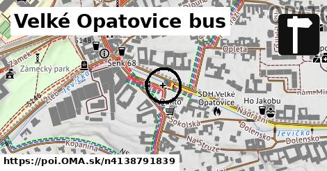 Velké Opatovice bus