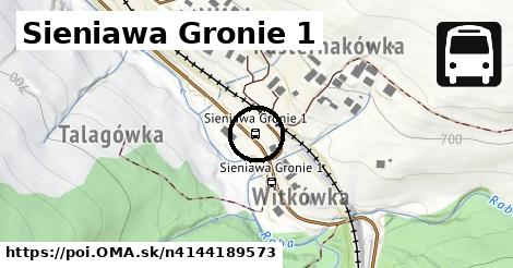 Sieniawa Gronie 1