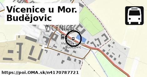 Vícenice u Mor. Budějovic