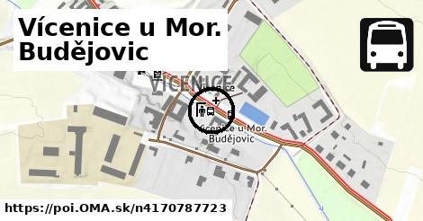 Vícenice u Mor. Budějovic