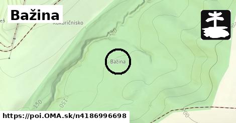 Bažina