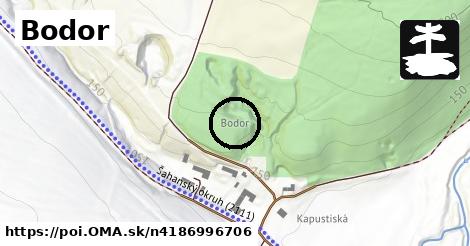 Bodor