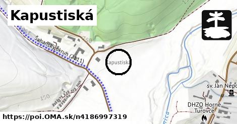 Kapustiská