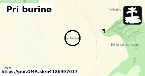 Pri burine