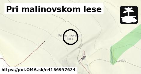 Pri malinovskom lese