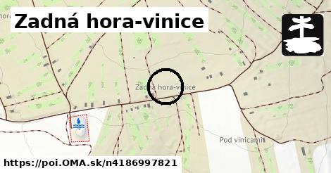 Zadná hora-vinice