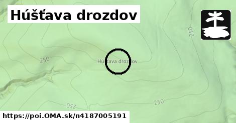 Húšťava drozdov