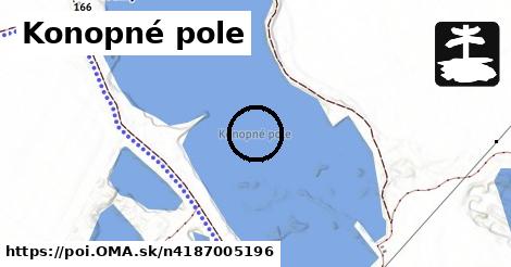 Konopné pole