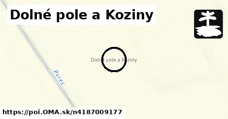 Dolné pole a Koziny