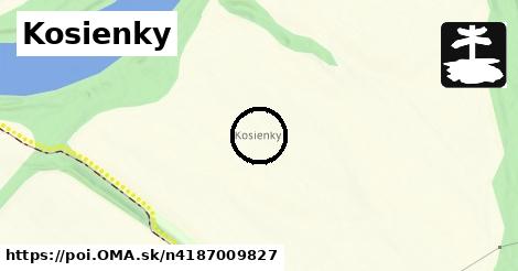 Kosienky