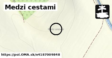 Medzi cestami