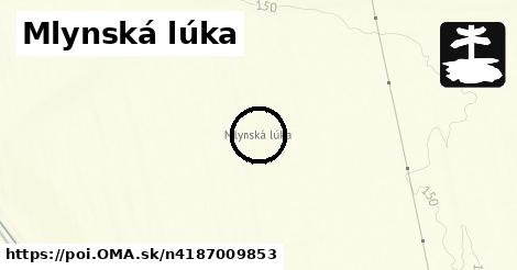 Mlynská lúka