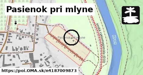 Pasienok pri mlyne