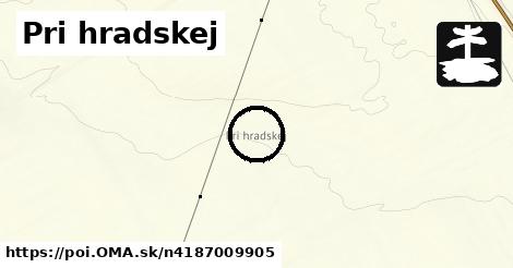 Pri hradskej